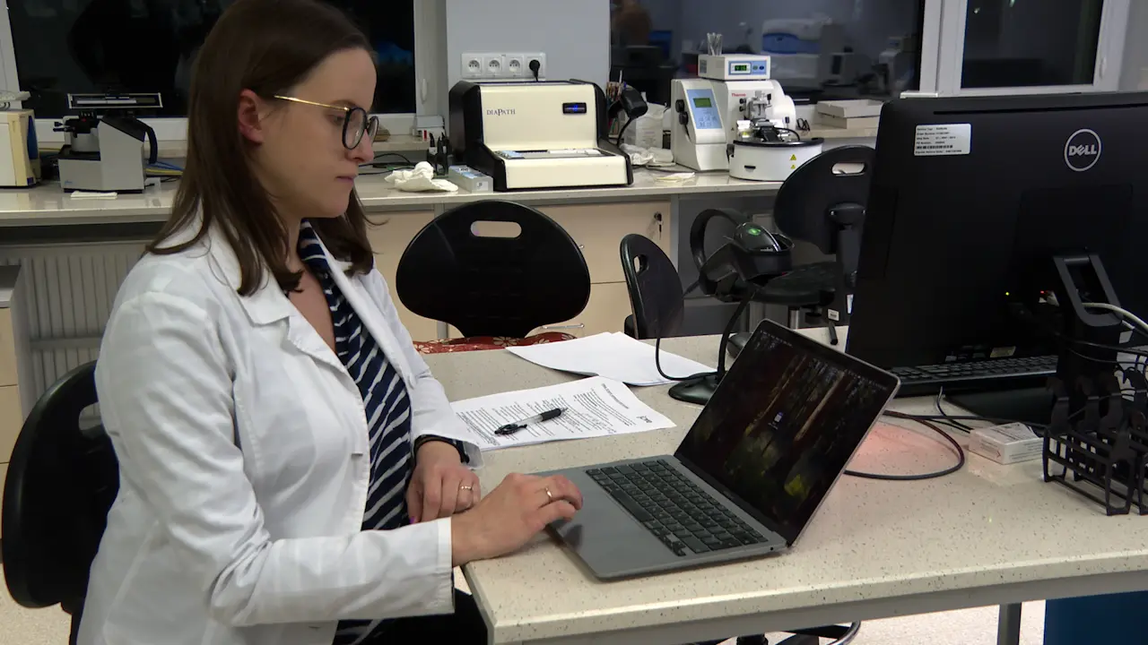 Preparation and Analysis of Histological Slides of Rat and Mouse Eyeballs to Evaluate the Retina