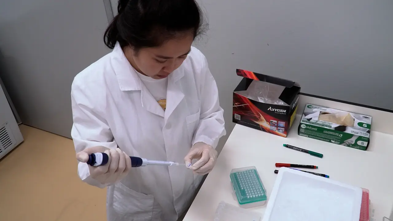 Point-of-care CRISPR-based Diagnostics with Premixed and Freeze-dried Reagents