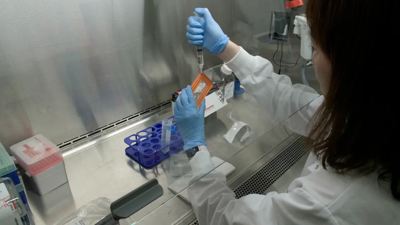 A Streamlined and Standardized Procedure for Generating High-Titer, High-Quality Adeno-Associated Virus Vectors Utilizing a Cell Factory Platform