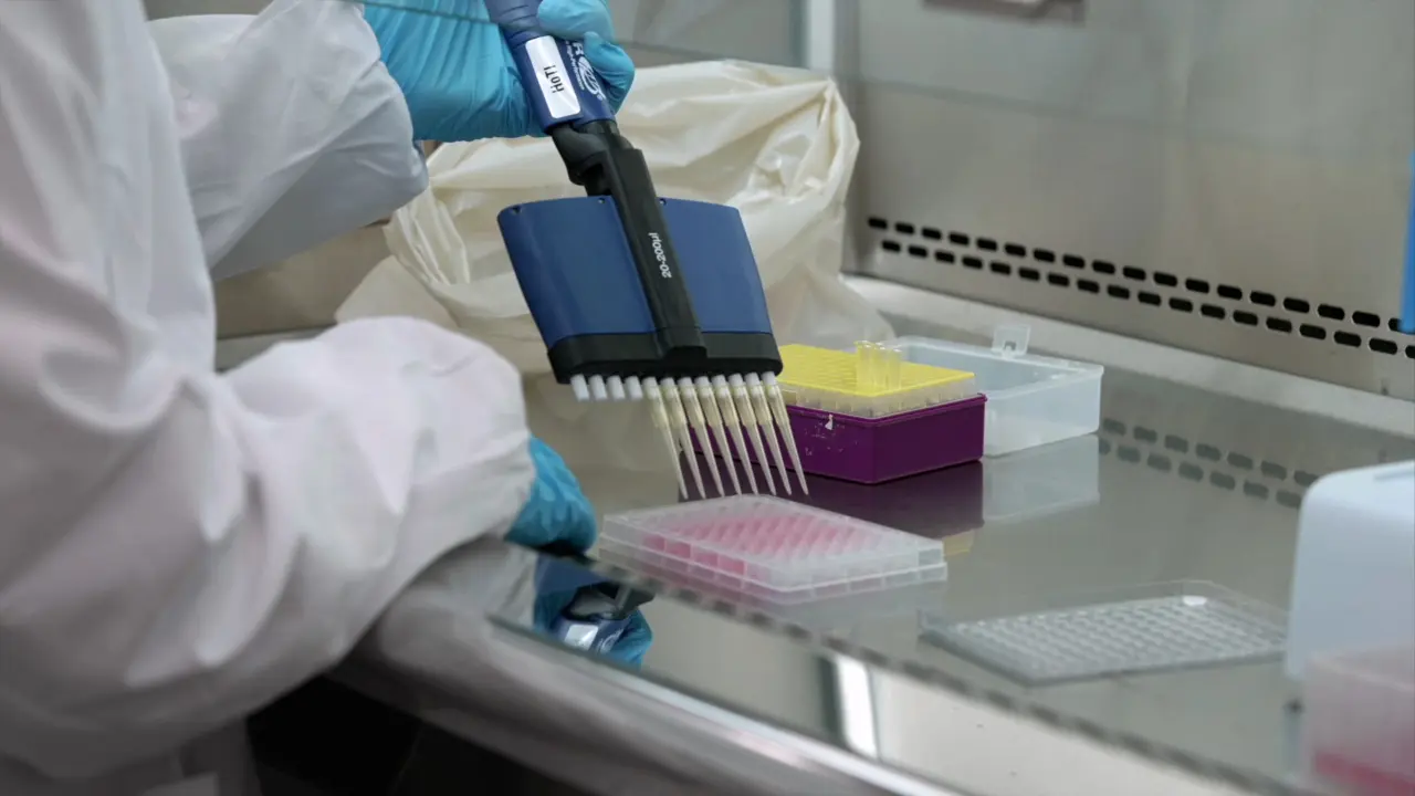 Assay Development for High-Throughput Drug Screening Against Mycobacteria