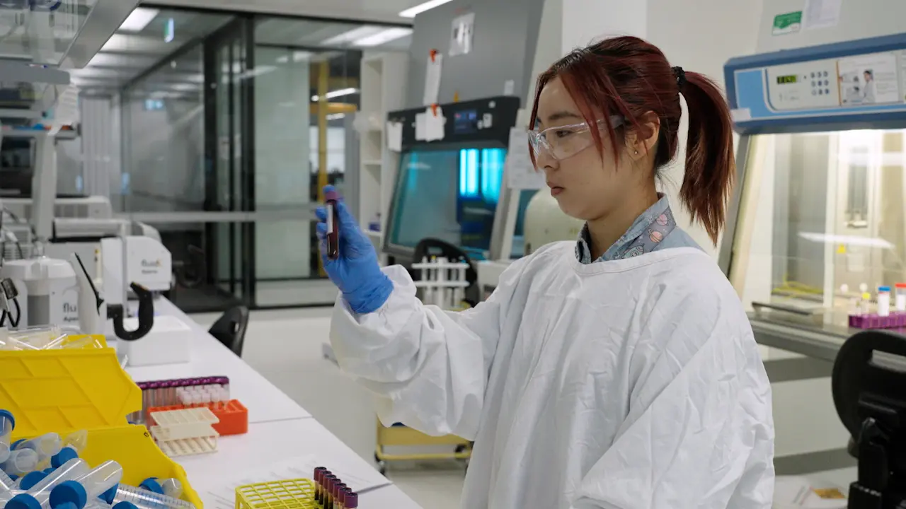Isolating Human Peripheral Blood Mononuclear Cells from Buffy Coats <i>via </i> High Throughput Immunomagnetic Bead Separation