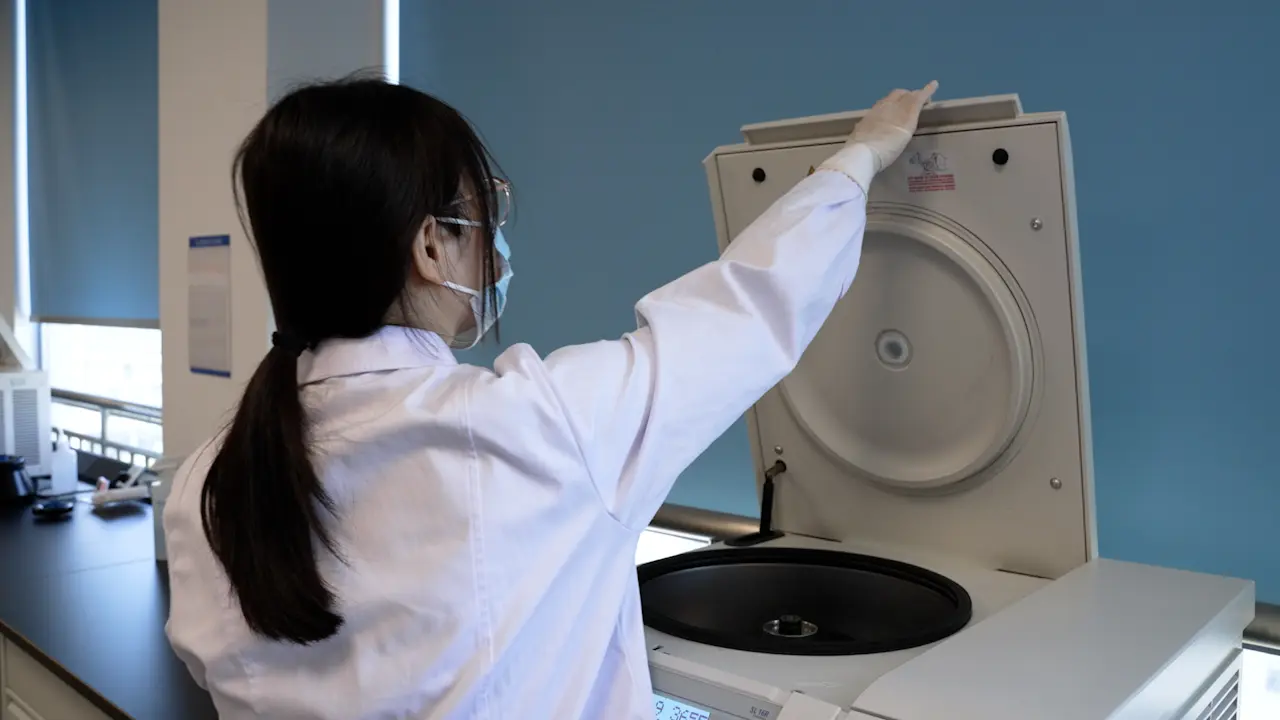 Quantifying the Level of 8-oxo-dG Using ELISA Assay to Evaluate Oxidative DNA Damage in MCF-7 Cells