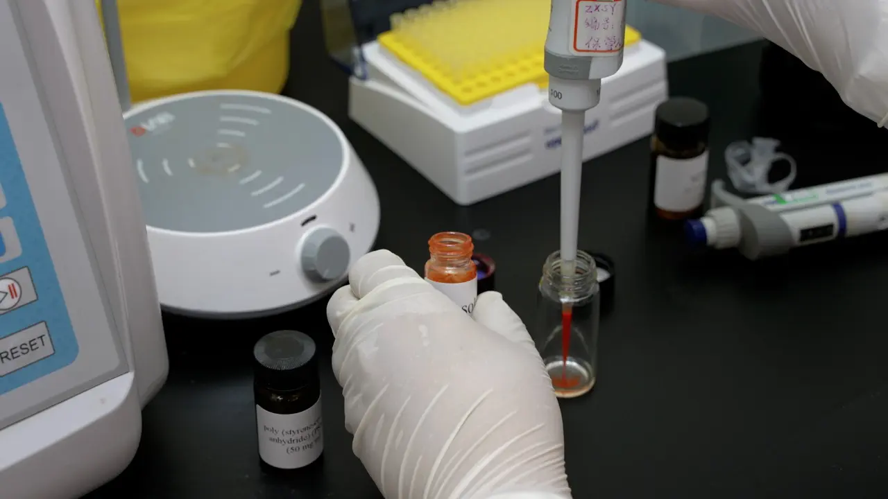 Fluorescent Lateral Flow Immunoassay Based on Quantum Dots Nanobeads