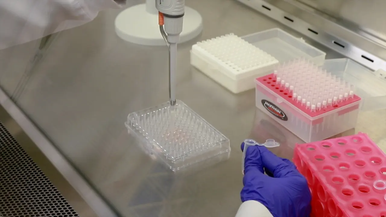 Alternative Strategy to Analyze In Vitro Cell Invasion of 3D Cultures