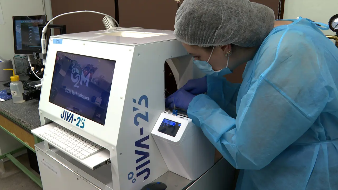 Tumor Hypoxia Assessment: In Vivo 3D Oxygen Imaging Through Electron Paramagnetic Resonance