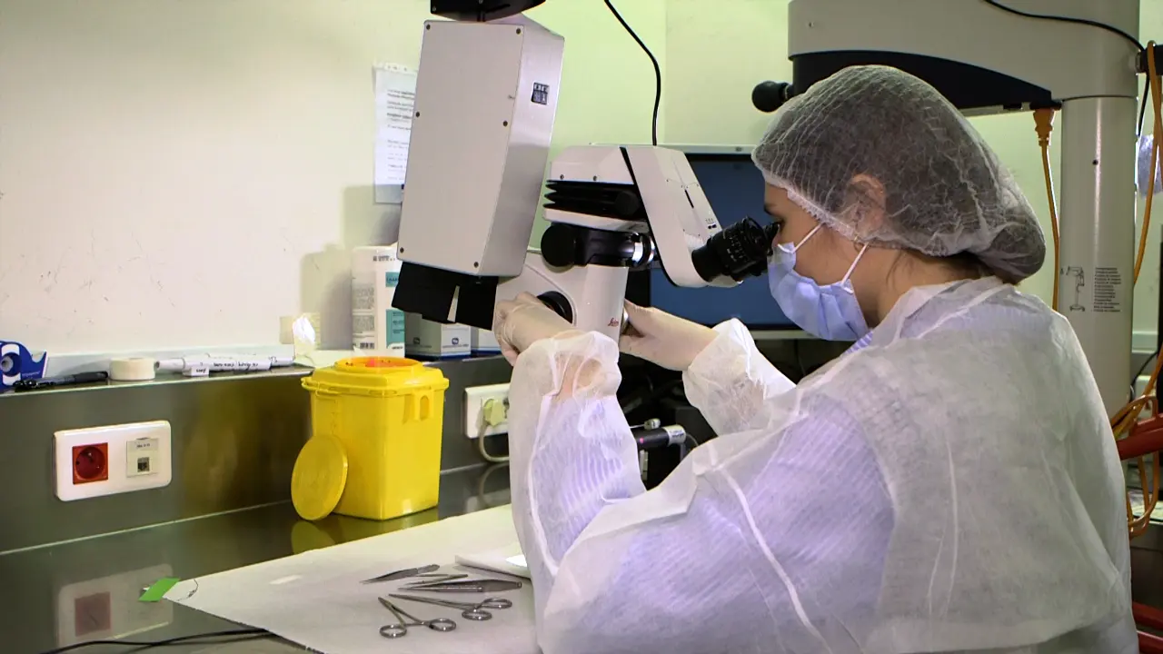 Intraoperative Visualization of Subretinal Injection and Retinal Detachment in Rats