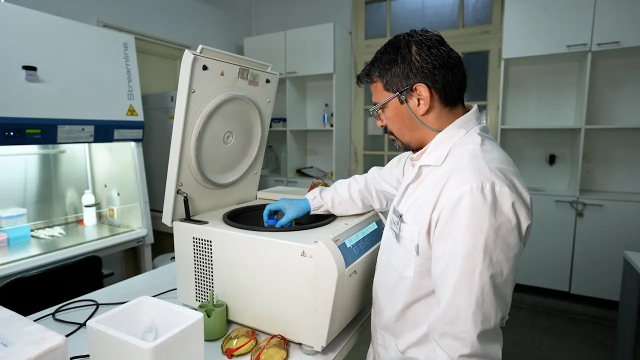 Reprograming Model of Human Monocyte-derived Macrophages for <em>In-vitro</em> Assays