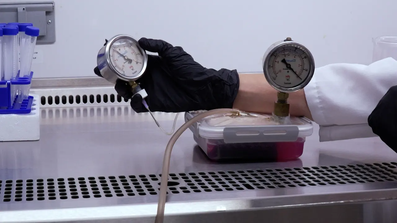 Development of a Benchtop Model for Evaluating the Compatibility of Wound Dressing Materials with Negative Pressure Wound Therapy Systems