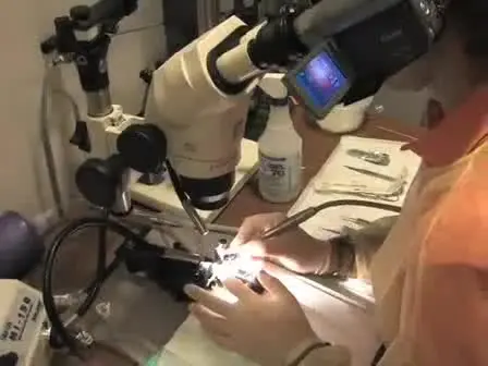 A Craniotomy Surgery Procedure for Chronic Brain Imaging