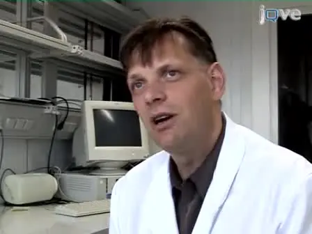 Molecular Evolution of the Tre Recombinase