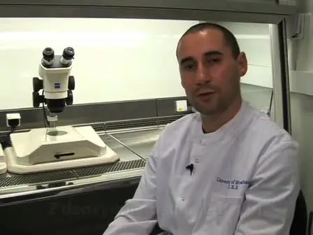 Preparation of 2-dGuo-Treated Thymus Organ Cultures