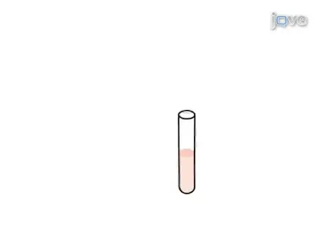 Neuronal Nuclei Isolation from Human Postmortem Brain Tissue