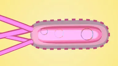 article