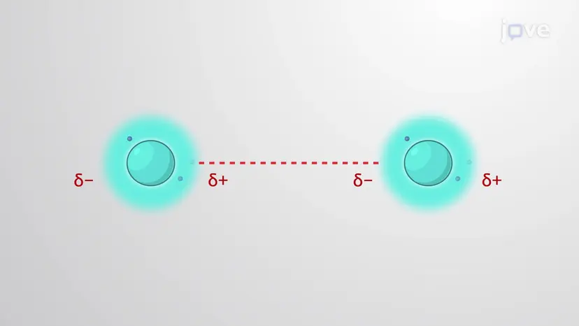 Van der Waals Interactions