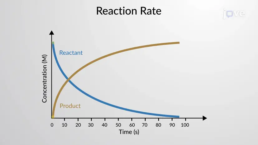 Reaction Rate