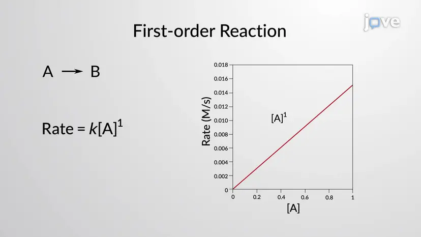 Concentration and Rate Law