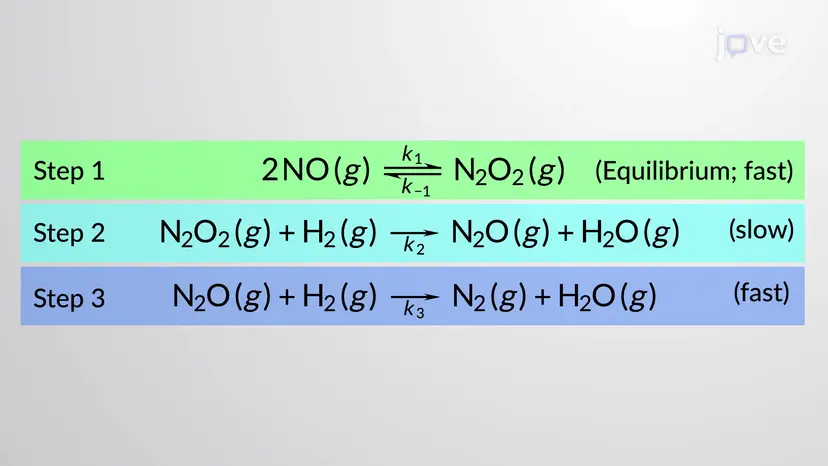 Reaction Mechanisms