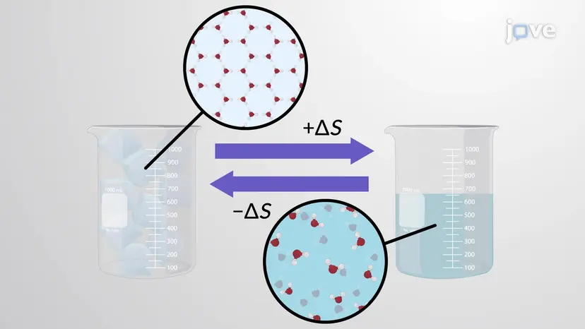 Zweiter Hauptsatz der Thermodynamik