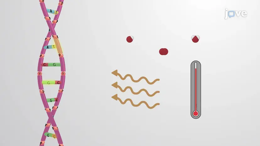Visão Geral do Reparo de DNA