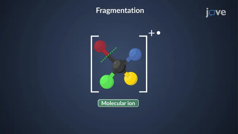 Mass Spectrometry: Molecular Fragmentation Overview