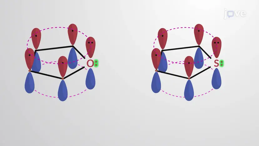 Five-membered Heterocyclic Aromatic Compounds: 개요