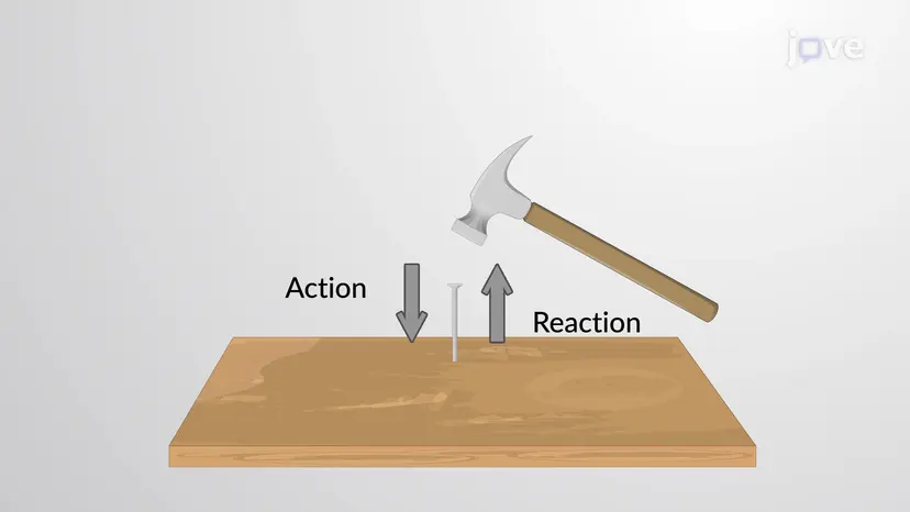 Terceira Lei de Newton: Exemplos