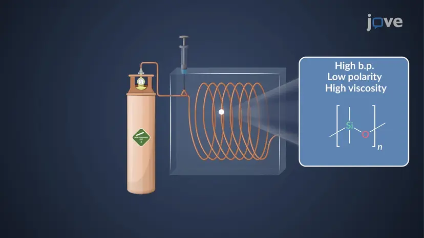 Gas Chromatography&ndash;Mass Spectrometry (GC&ndash;MS)