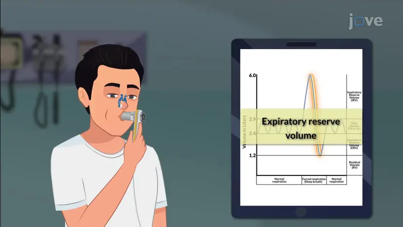 Volumes respiratoires