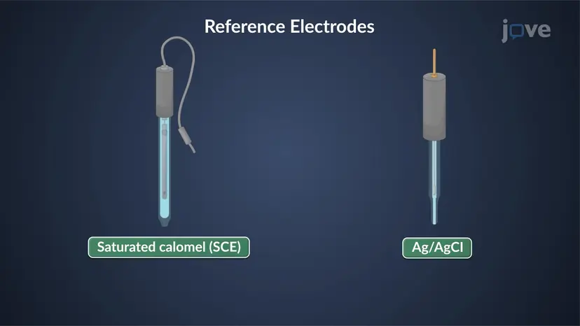 Elektrody: Przegląd