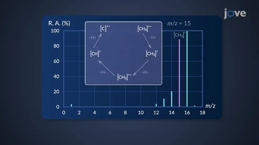 Mass Spectrum: Interpretation