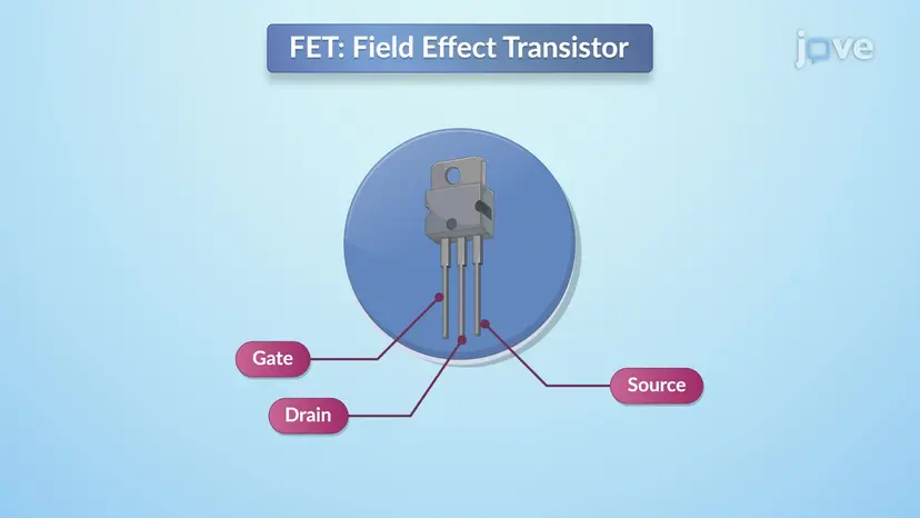 Feldeffekttransistor