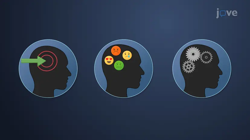 Estimulantes do SNC: Agentes psicodélicos [em inglês]