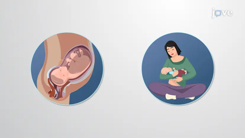 항정신병 약물: 전형적 및 비정형 약물