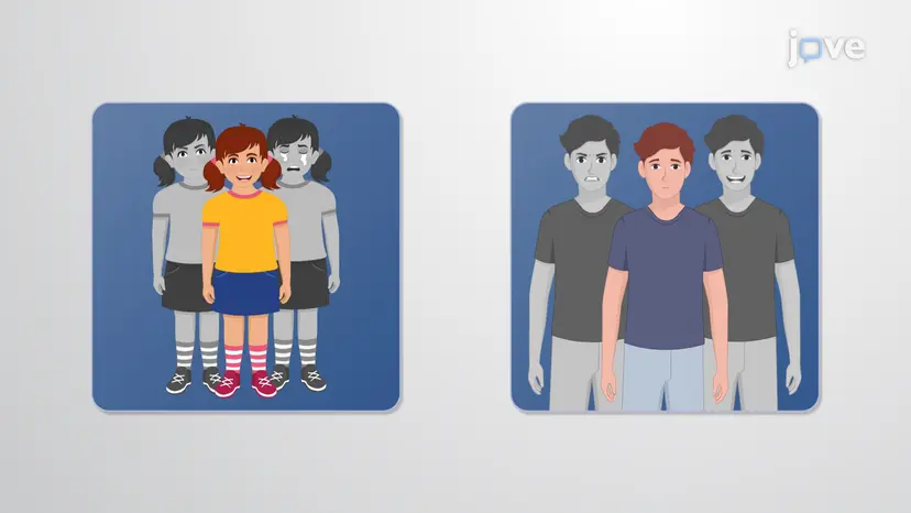 조증과 조증 완화 약물: 개요