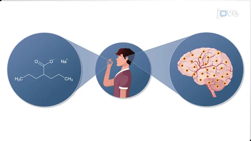 Antiepileptic Drugs: GABAergic Pathway Potentiators