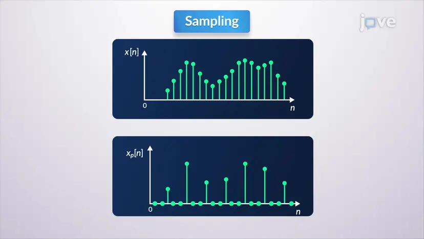 דילול (Downsampling)