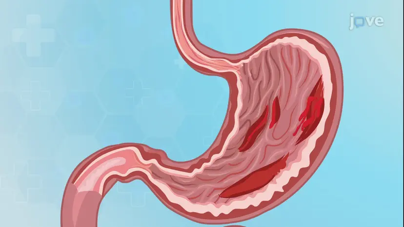 Gastritis III: Klinische Manifestationen und Behandlung