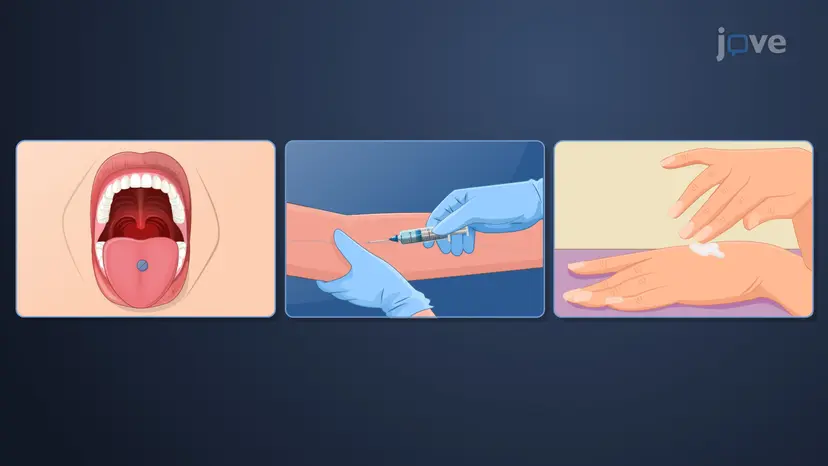 Drug Delivery: 개요