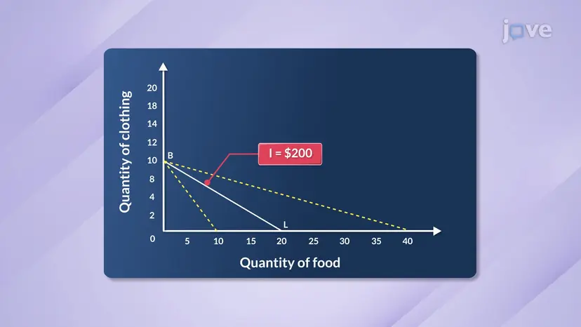 Factors Affecting Budget Constraint  I