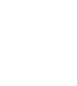 Page Not Found
