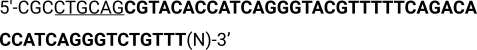 figure-protocol-2776