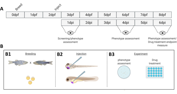 figure-protocol-4449