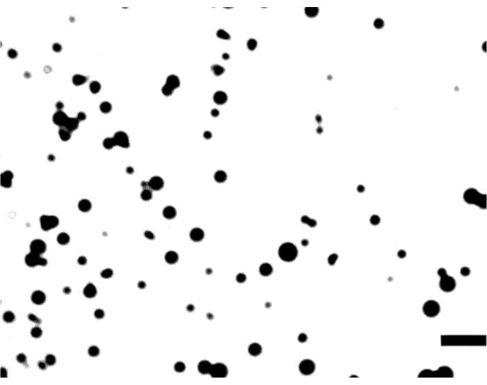 figure-results-9546
