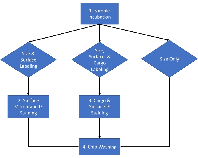 figure-introduction-5029