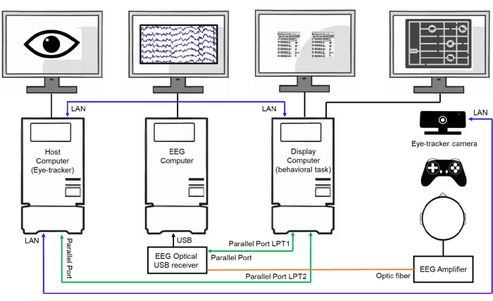 figure-protocol-21277