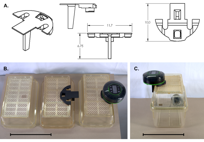 figure-protocol-1041