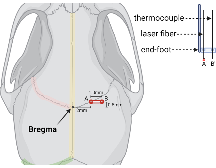 figure-protocol-13100