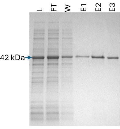 figure-results-1651